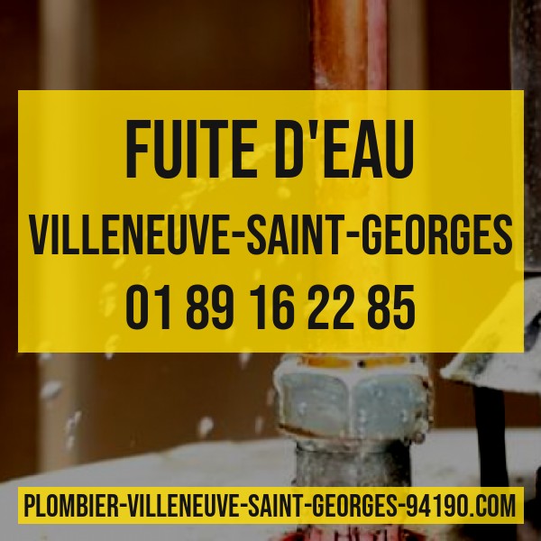 plombier pour fuite Villeneuve Saint Georges